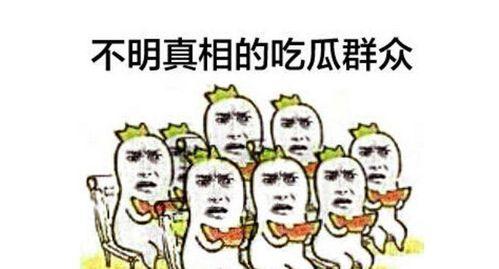 聊娱乐的吃瓜群众能力,吃瓜群众如何成为幕后推手
