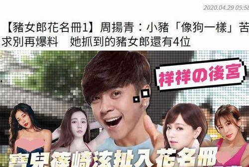 娱乐圈吃瓜的小说,瓜田里的明星秘闻