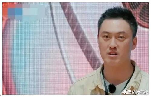 娱乐圈吃瓜人员,揭秘明星幕后故事