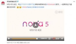 华为麒麟爆料视频播放不了,揭秘技术难题背后的挑战