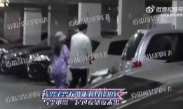 名车工匠爆料视频,高端汽车制造背后的精湛技艺与匠心独运