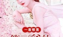 一夜惊喜在线观看完整版,揭秘剧情高潮与情感转折