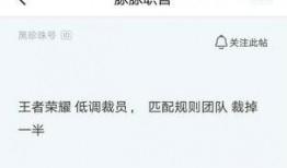 王者裁员爆料最新消息,最新爆料揭示行业寒冬真相