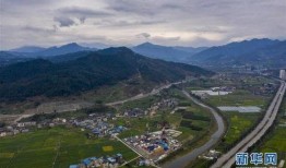 重庆新冠源头爆料最新,揭秘病毒起源之谜