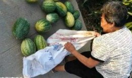 西安同城吃瓜最新爆料,揭秘同城热点事件幕后真相