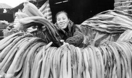 电影杀漠在线观看,暗夜追凶，真相揭晓