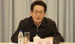 刘震最新爆料视频大全集,揭秘事件真相与幕后黑幕