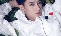 娱乐圈爆料君黄子韬,娱乐圈爆料君的幕后故事