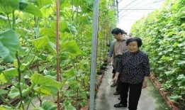 南充吃瓜最新事件爆料是真的吗,最新爆料真相揭秘