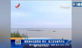 大河爆料新闻最新消息