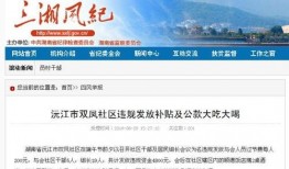 沅江新闻爆料事件视频,视频揭露惊人真相