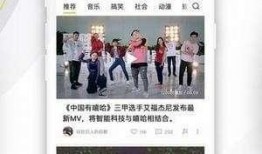 哪个网站看爆料视频好,深度解析网络热点事件