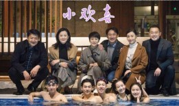 小欢喜在线观看全集,揭秘家庭教育的喜怒哀乐