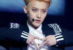 娱乐圈爆料君黄子韬,娱乐圈爆料君的幕后故事