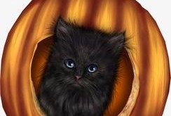 吃瓜小猫视频下载安装免费,轻松获取免费娱乐新体验