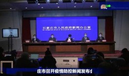 石家庄学区爆料新闻联播,教育资源优化与区域发展新篇章