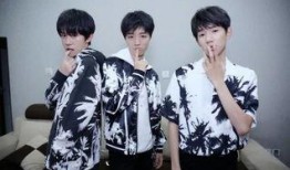 tfboys采访视频互爆料,揭秘兄弟间的“相爱相杀”