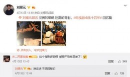 娱乐爆料刘耀元视频在线观看,娱乐爆料背后的精彩瞬间