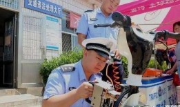 滕州最新爆料新闻视频播放,视频揭秘事件真相，引发网友热议