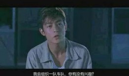 老木大哥爆料视频大全,揭秘幕后真相，带你领略真实世界