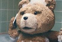 在线观看泰迪熊