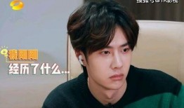 娱乐吃瓜圈王一博,从流量小生到全能艺人，他的蜕变之路