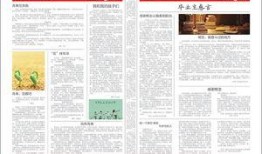 爆料报刊怎么制作视频,如何轻松制作视频教程