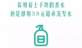 爆款视频爆料文案短句,短句文案背后的爆款秘密