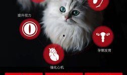 料理猫爆料视频播放大全,海量美食制作视频大放送