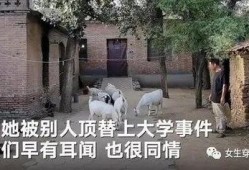 麻城鼓楼新闻爆料事件始末,真相追踪与舆论漩涡