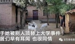 麻城鼓楼新闻爆料事件始末,真相追踪与舆论漩涡