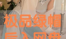 极品 在线观看,揭秘热门剧集背后的精彩故事