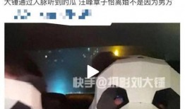 刘大锤连线爆料视频大全,揭秘娱乐圈幕后真相