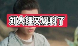 刘大锤连线爆料视频大全,揭秘娱乐圈幕后真相