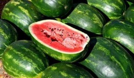 免费吃瓜叫卖视频大全,视频大全带你领略网络奇观