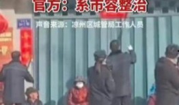 撕春联爆料者被抓捕视频,视频揭露惊人内幕