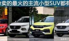 信阳市新闻爆料电话,聚焦民生热点，倾听市民声音